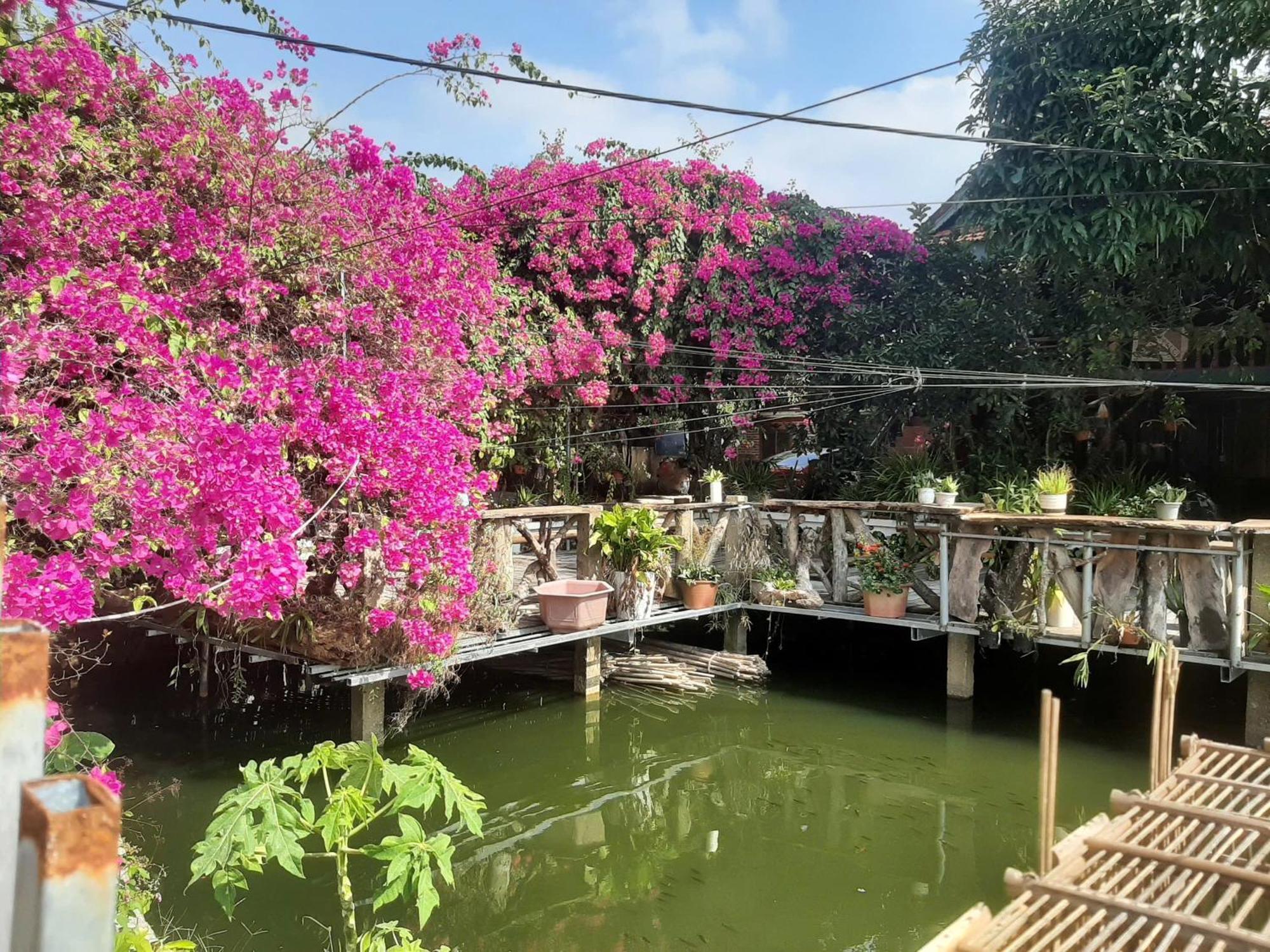 Minh Ngoc Homestay Dien Bien Phu Ban Hin Lom エクステリア 写真