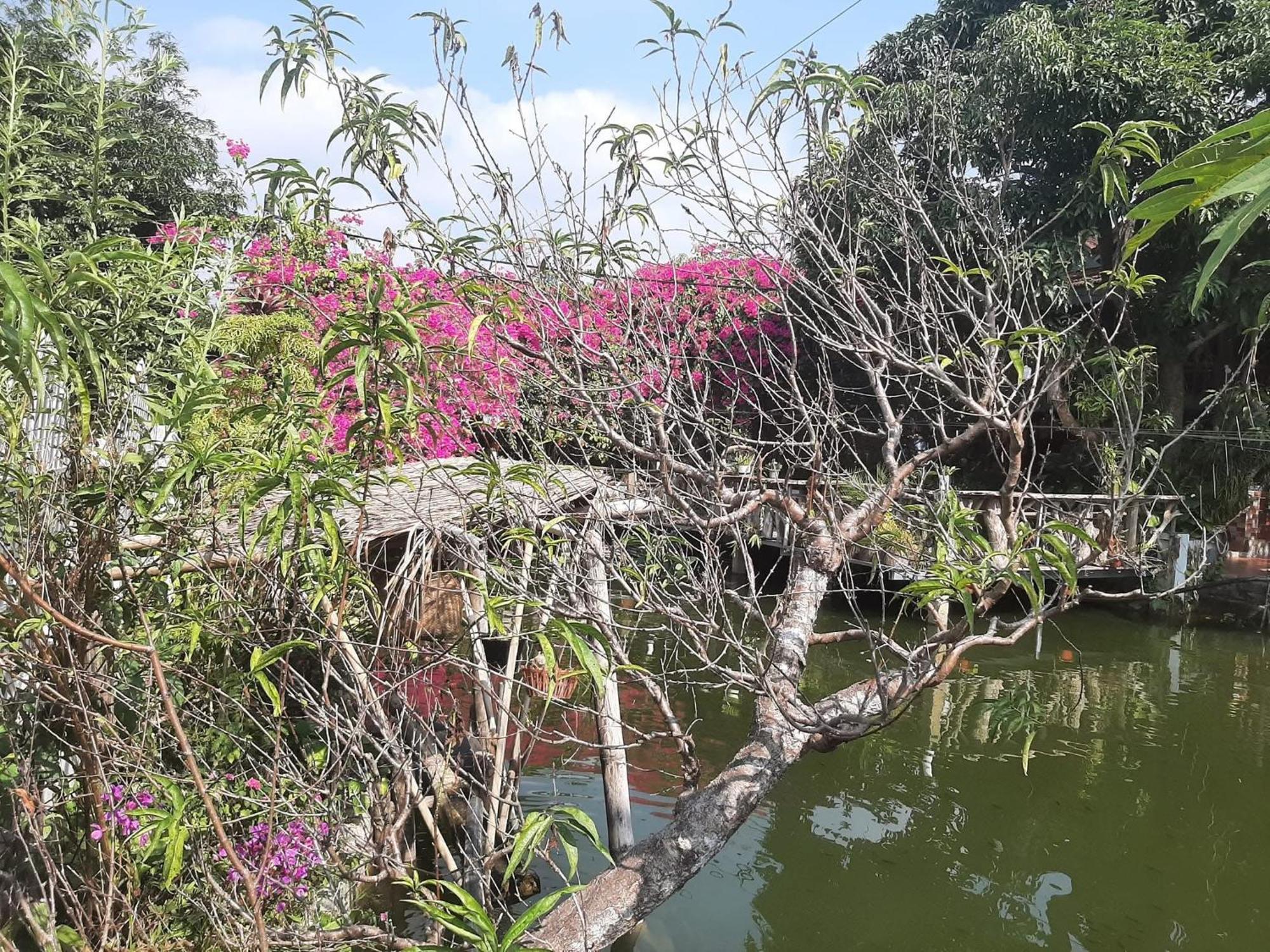 Minh Ngoc Homestay Dien Bien Phu Ban Hin Lom エクステリア 写真