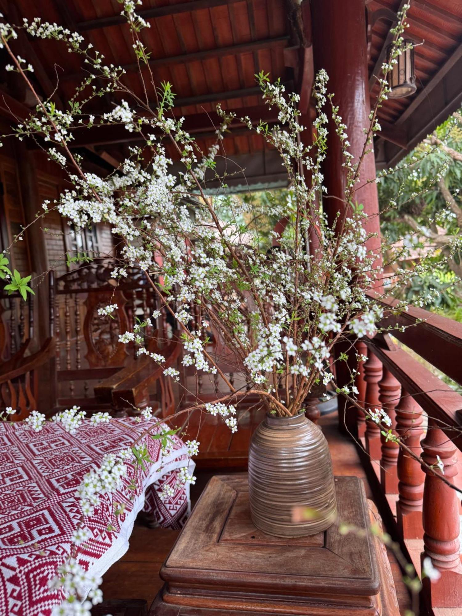 Minh Ngoc Homestay Dien Bien Phu Ban Hin Lom エクステリア 写真