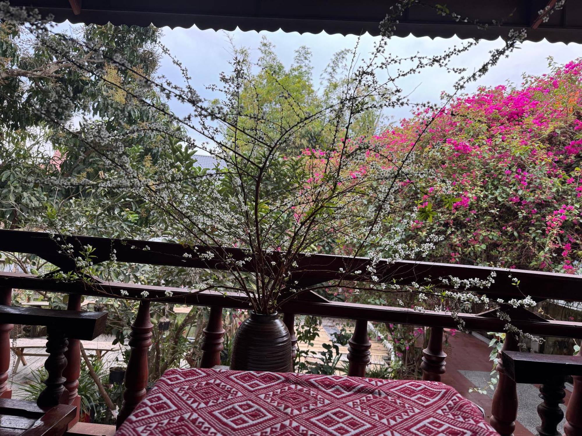 Minh Ngoc Homestay Dien Bien Phu Ban Hin Lom エクステリア 写真